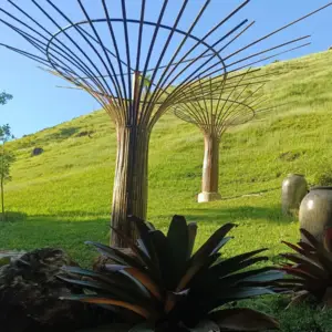 Árvores de Bambu - Paisagismo